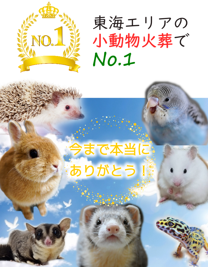 陽（ひかり）のほほえみのトップ画像　小動物火葬専門だから選ばれる