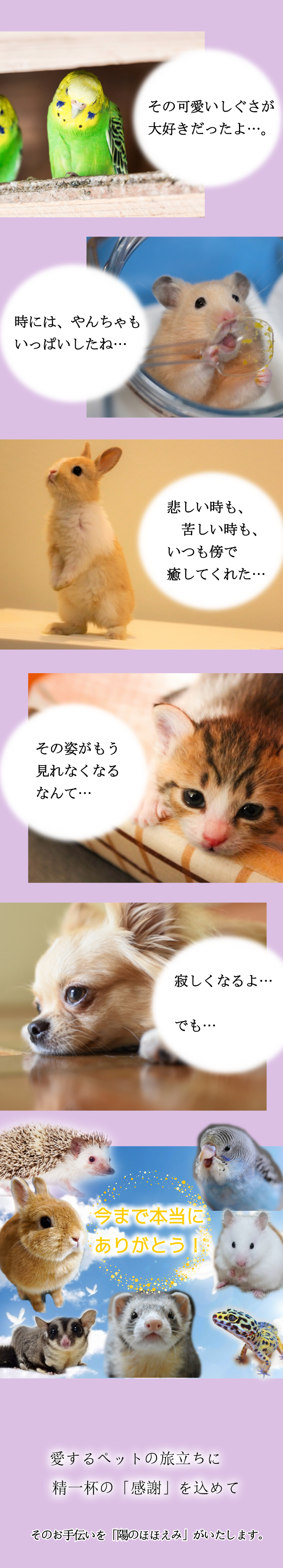 陽（ひかり）のほほえみのトップ画像　小動物火葬専門だから選ばれる